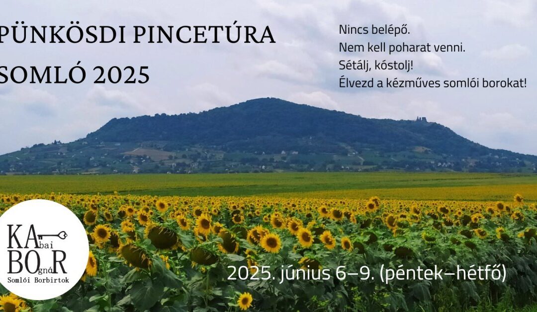 Somlói borászat, somlói pincészet, somlói bor 1 Pünkösdi pincetúra Somló 2025