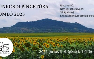 Pünkösdi pincetúra Somló 2025