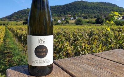 Nem csak egy Olaszrizling: A KABOR 2022-es tétele, ami magába szívta a bazalt sósságát