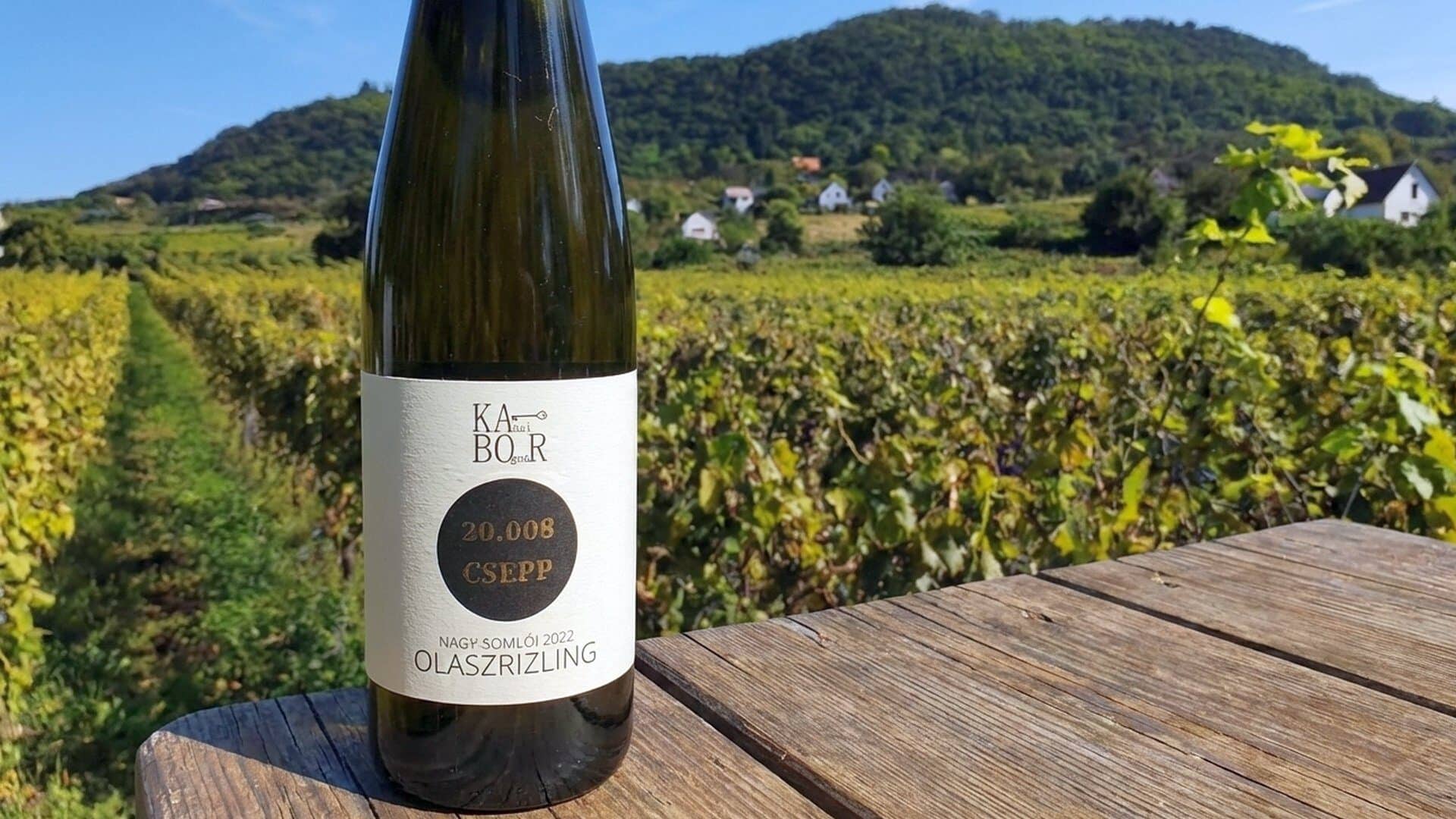 butcher-36 Olaszrizling: A KABOR 2022-es tétele