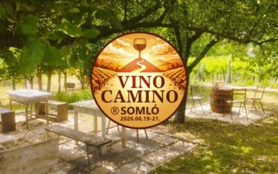 Vino Camino Somló 2026 – a KABOR Somlói Borbirtokon