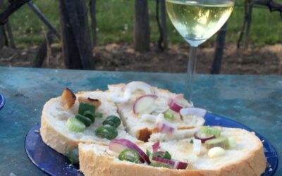 Szalonnasütés és tábortűz – Vino Camino Somló 2026